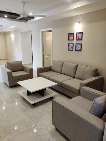 layout